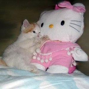 Meet your Posher, Alexandra